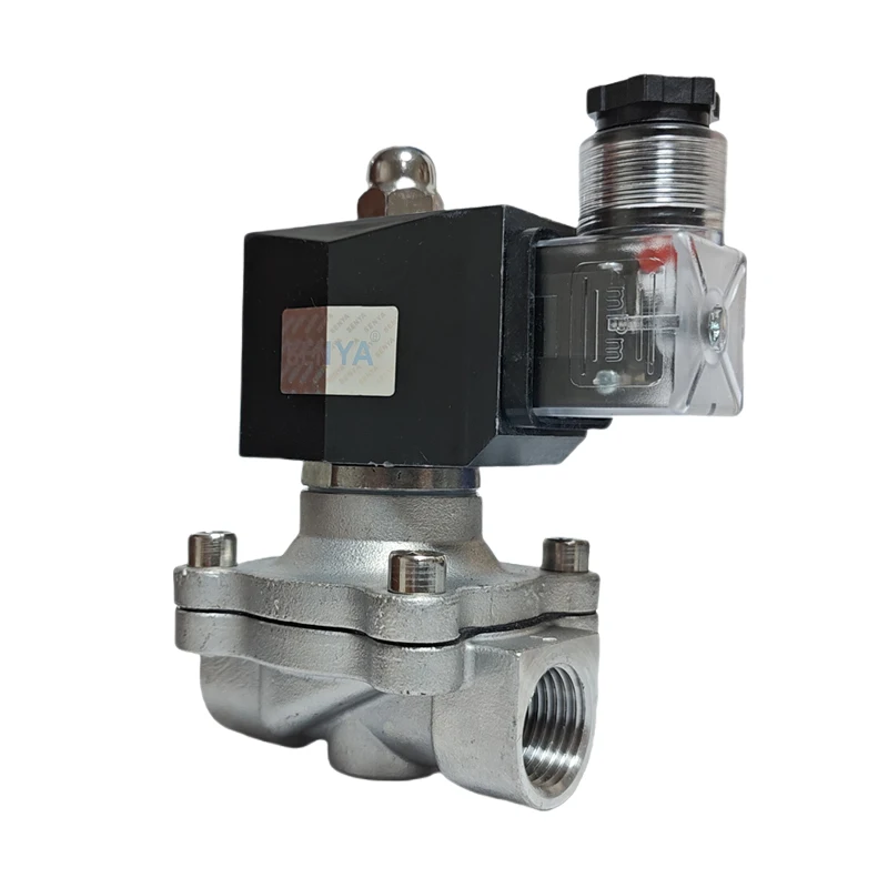 

DN08~DN25 Normally Closed Electric Solenoid Valve Water 220v 24V 12V Stainless Steel Outdoor Special Energy Saving And No Heat