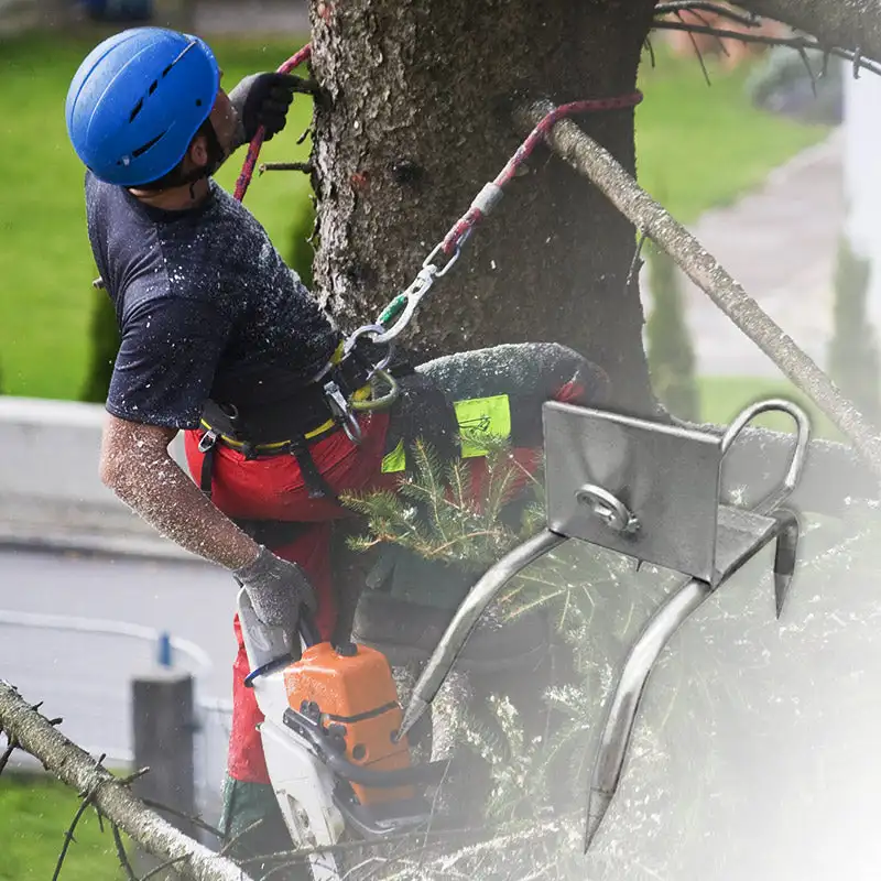 Outdoor Tree Climbing Tool Pole Climbing Spikes For Hunting Shoes Tree Steel Climbing Simple Picking Observation Fruit Use