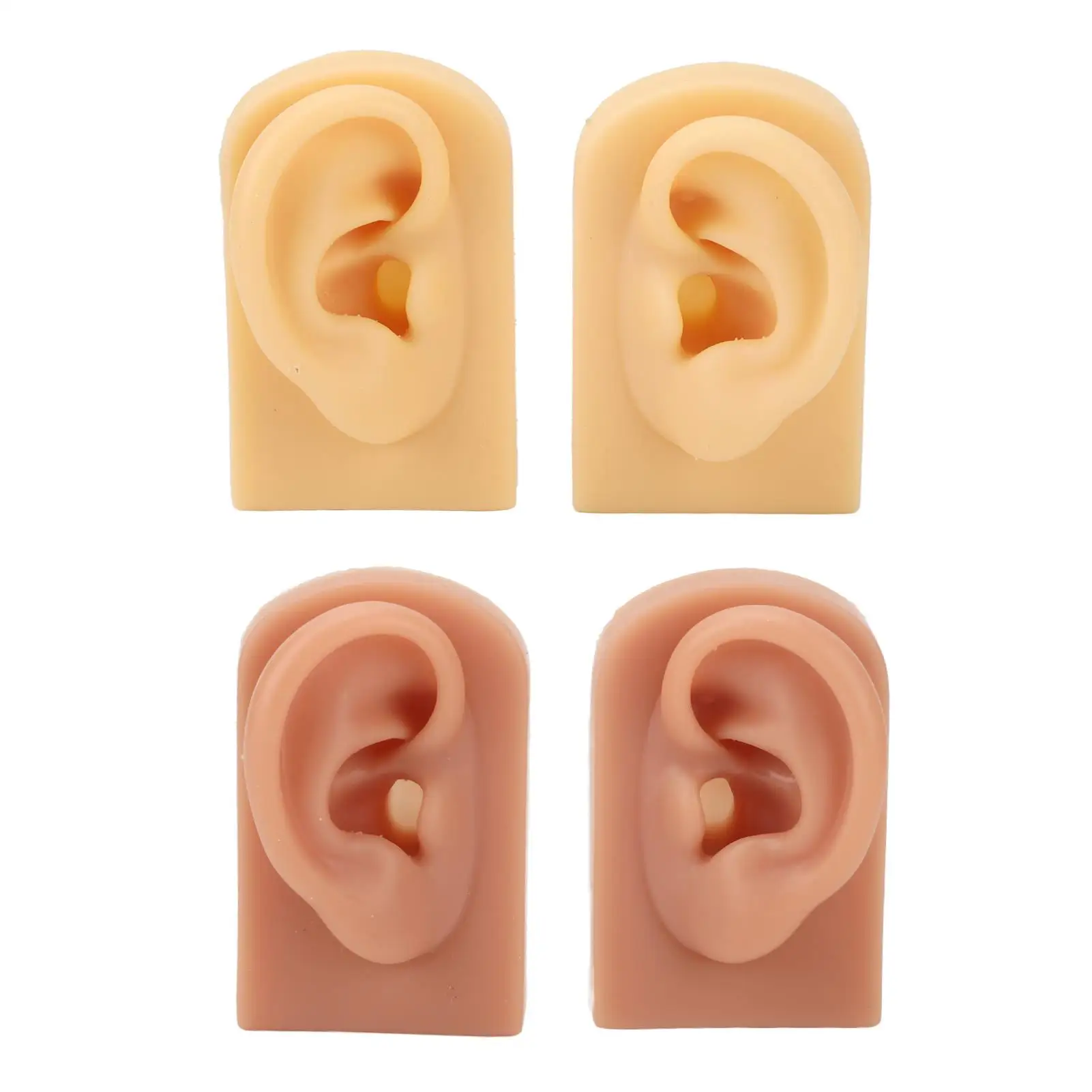 

Reusable Silicone Ear Model Flexible 2 Pairs Simulation for Beginners for beauty Salon Piercing Practice