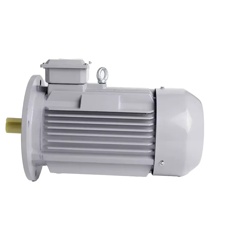 750W 3kw 11kw 22kw 55kw 75kw 90kw 110kw 132kw 200kw Ie1 AC Three Phase Induction Motor for Industrial Use High Efficiency