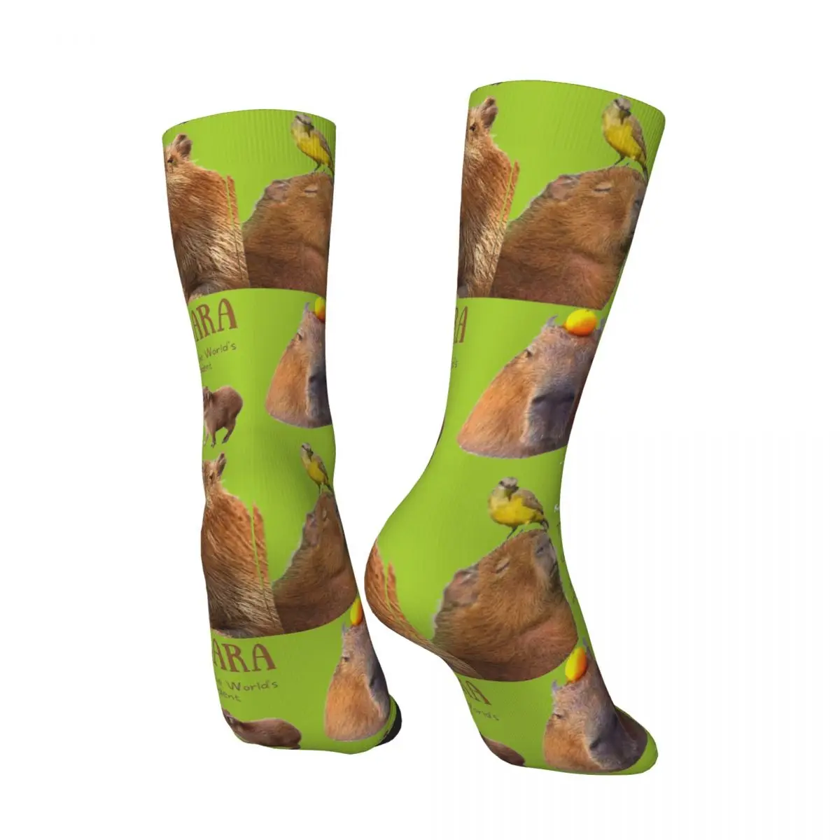 Capybara Fun Facts Stockings Design Leisure Socks Winter Anti Bacterial Socks Adults Men Skateboard Quality Socks