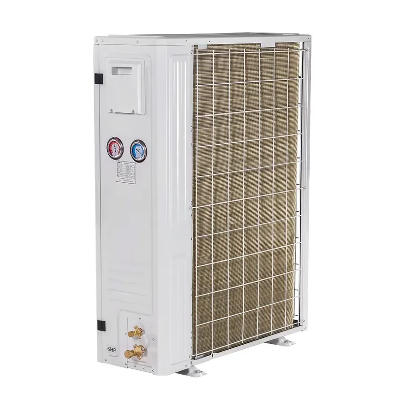 Cold Chain Room System Refrigeration Box Type Scroll Compressor Air Cooled Condensing Unit R404A R22 R507A Motor High Cooling