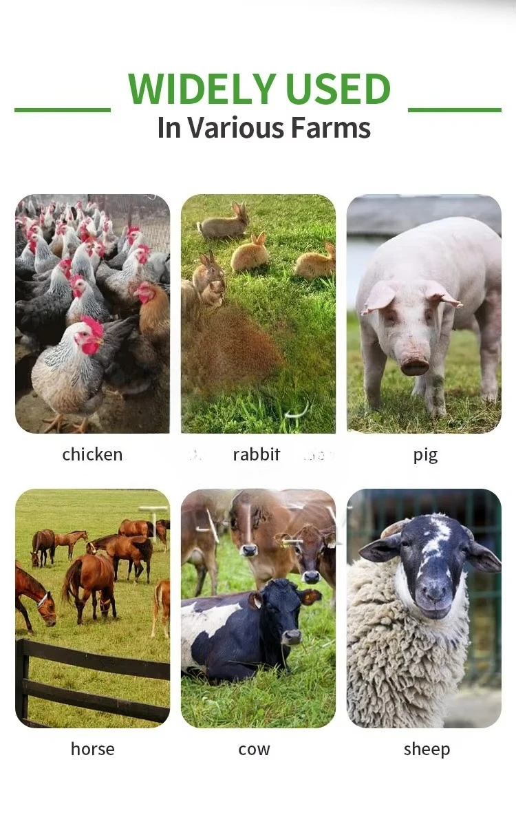 Agricultural Tmr Animal Feed Mixer Machine Cattle Breeding Farming Equipment Tmr Feed Mixer