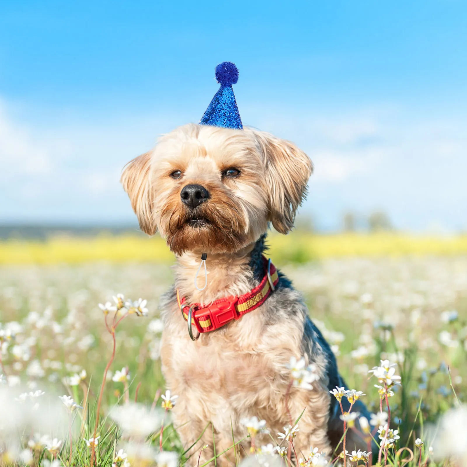

10pcs Pet Birthday Hat For Cats Dogs Adjustable Glitter Pom Pom Mini Headband Party Supplies Dog Cat Birthday Hat Collection