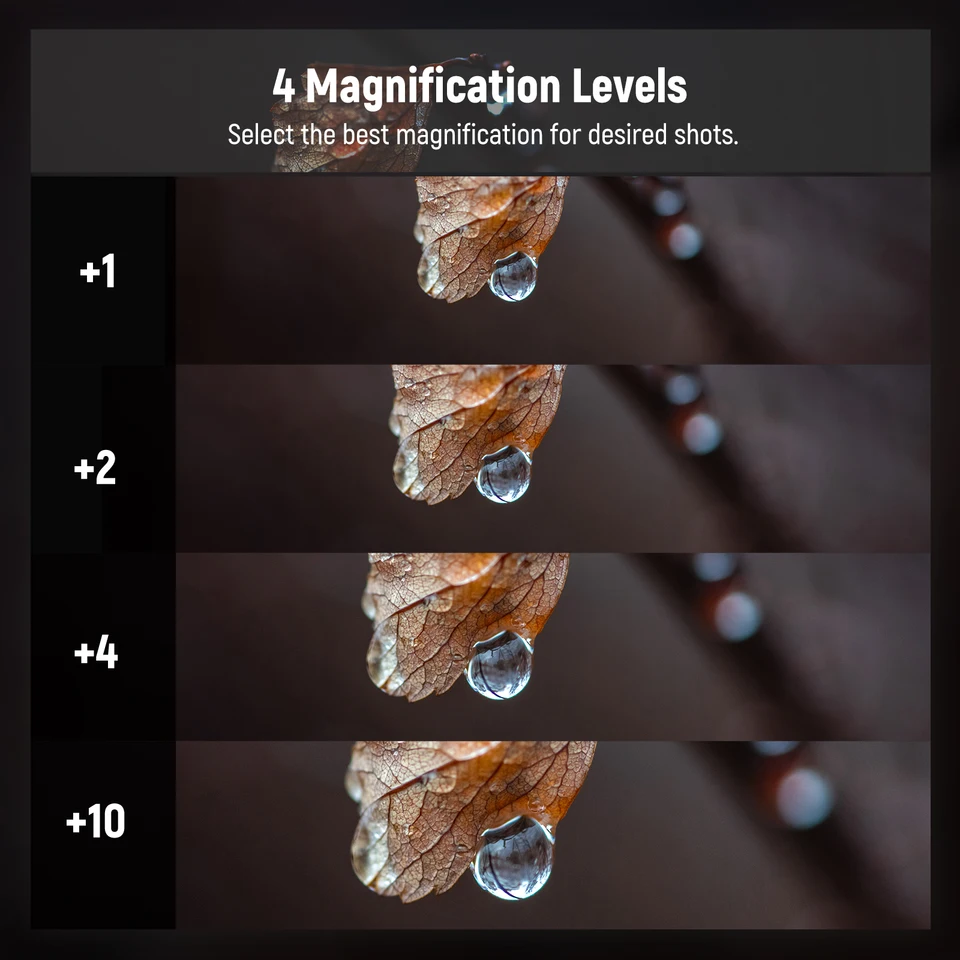 377821_6 377821_6
