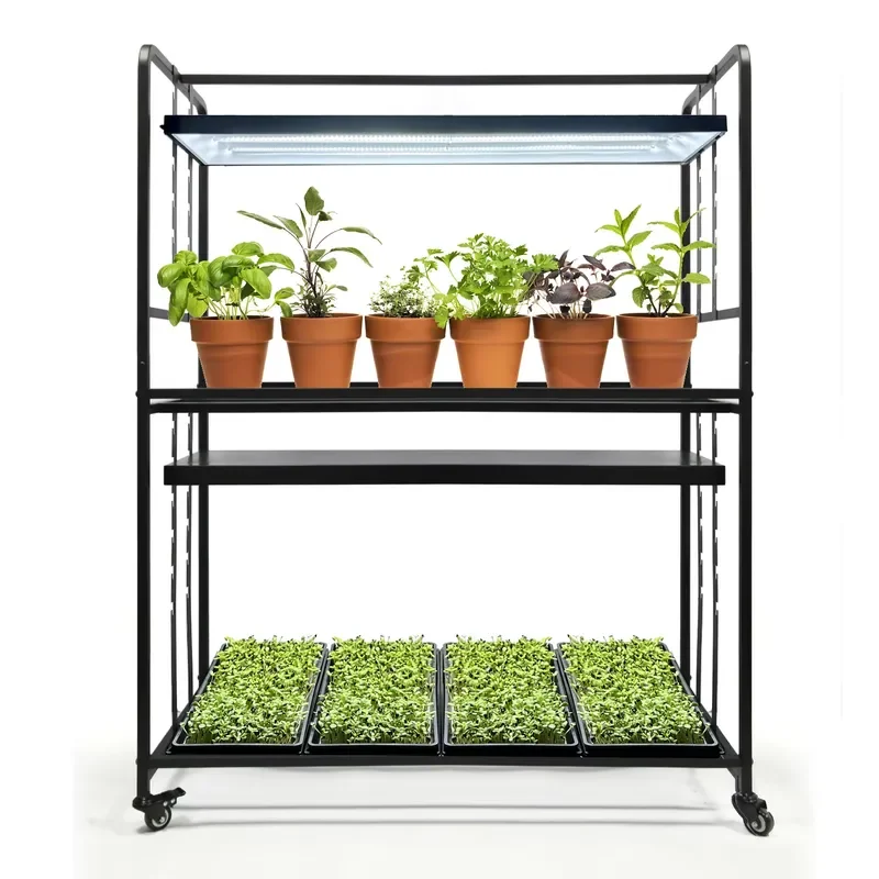 2 Tier Adjustable Height Iron Microgreen Shelves Microgreens Growing System Home & Garden Use Mobile Grow Rack