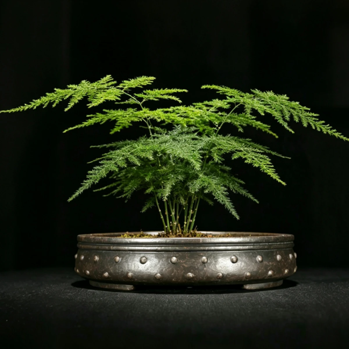 Yixing High Quality Large Caliber Purple Clay Bonsai Pot Retro Drum Nail Succulent Flowerpot Indoor Chinese Antique Style Vase