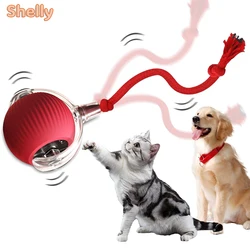 Cat Interactive Toys Automatic Rolling Ball Rechargeable Smart Pet Toys Electric Toy Dog Cat Imitate Catch up Mouse Toys for Cat