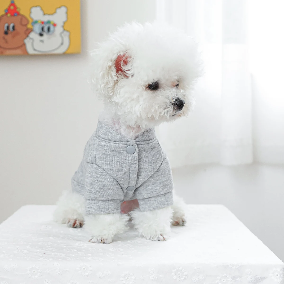 1PC Pet Clothes Spring and Autumn Plush Gray Small Troublesome Coat Suitable for Small and Medium sized Dogs