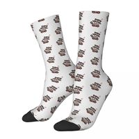 Raccoon Procyon Lotor Animal Cute Men Women Socks Outdoor Novelty Spring Summer Autumn Winter Stockings Gift