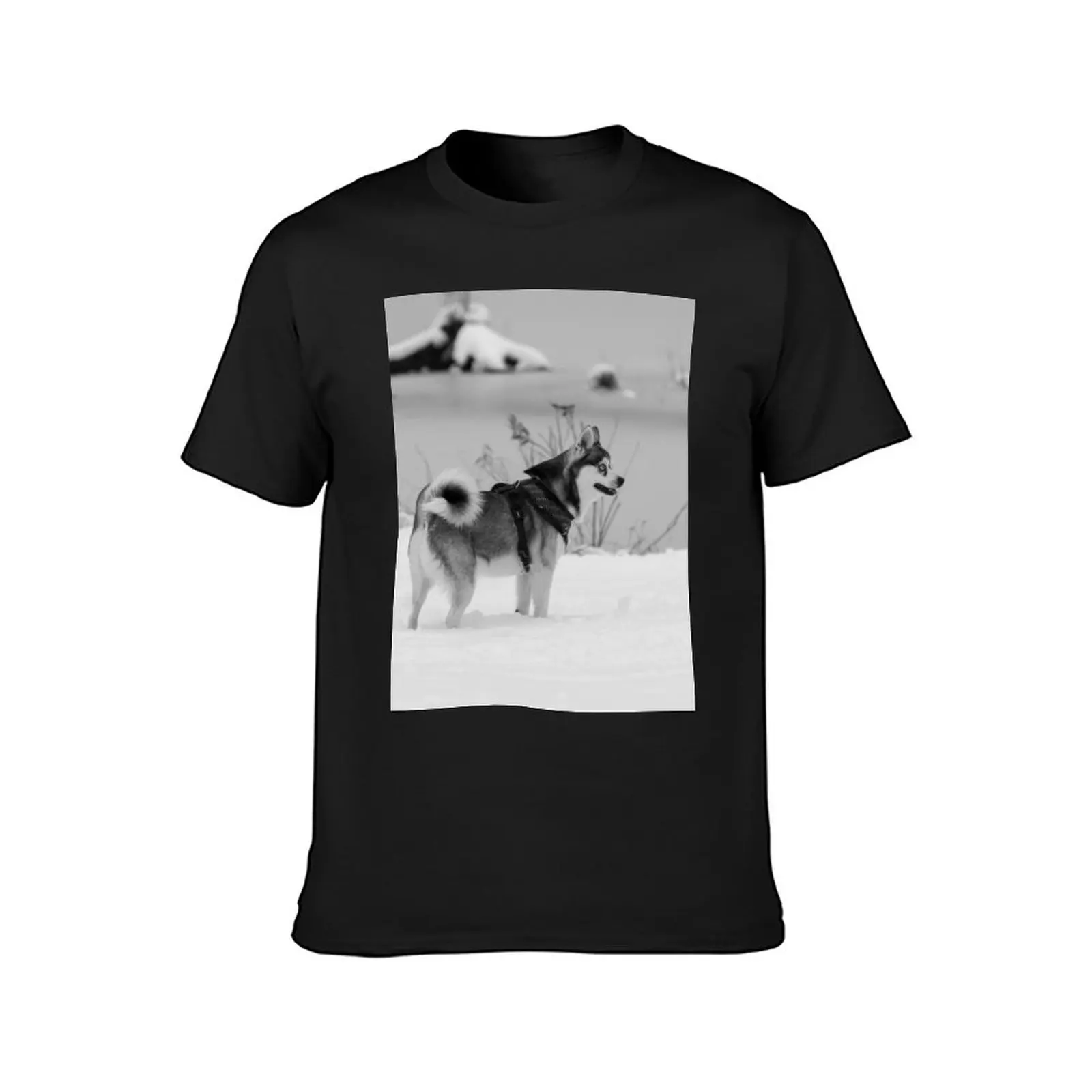 Cute klee kai puppy in the snow - black & white T-Shirt anime clothes summer top Aesthetic clothing plain white t shirts men