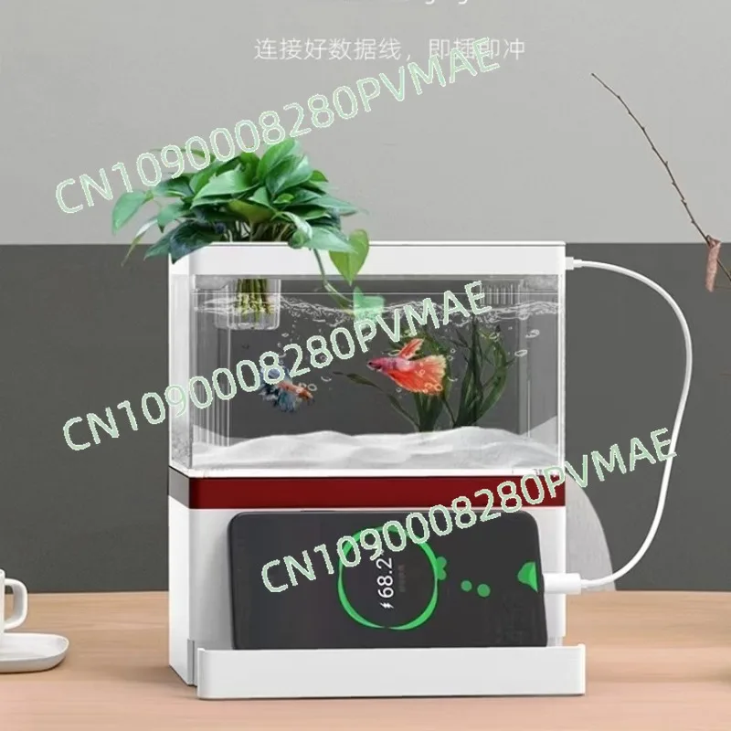 

Desktop Micro Landscape Betta Tank - Mini Water-Free Creative Ecological Small Fish Aquarium