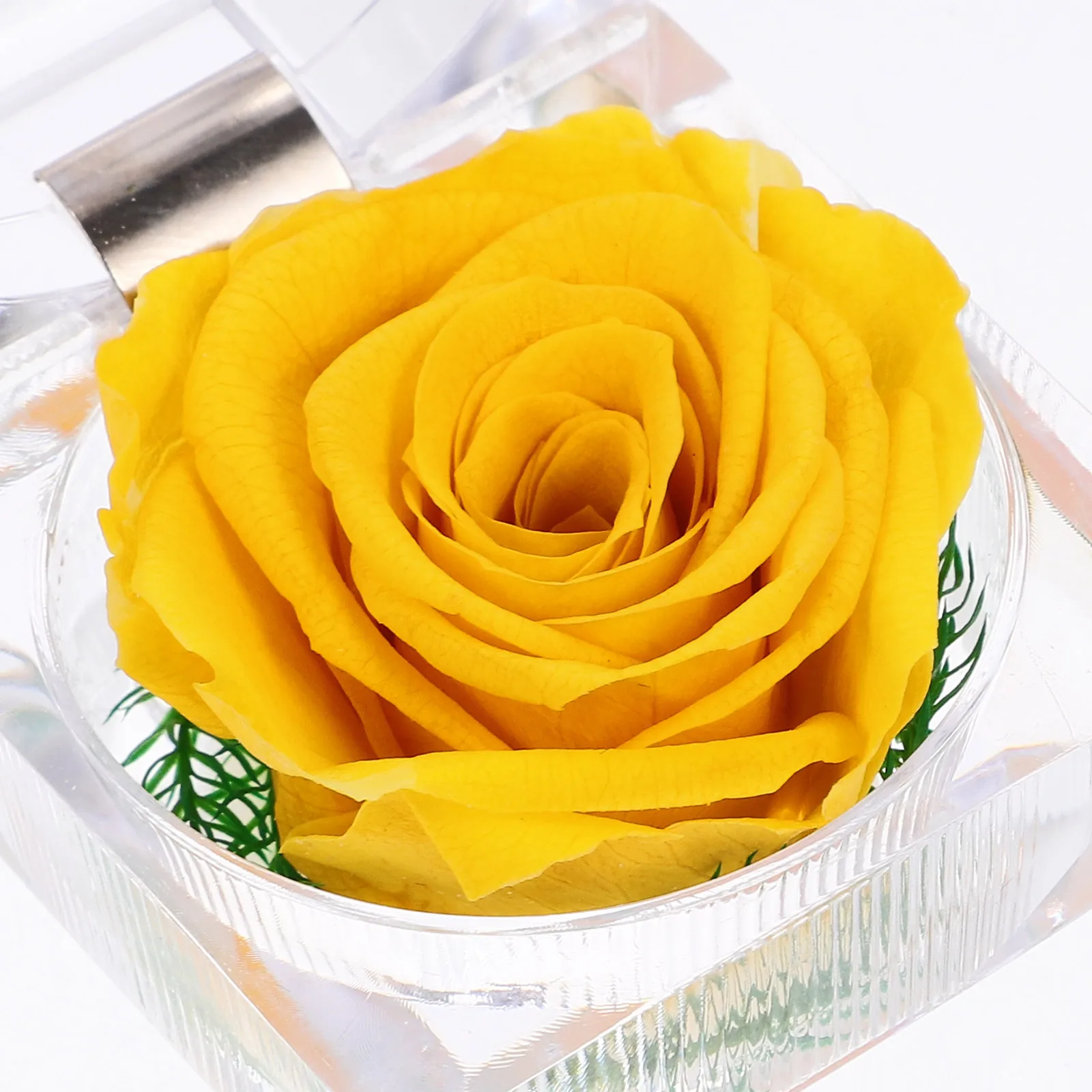 

Preserved Flower Eternity Rose Never Withered Romantic Gift For Her Valentine'S Day Birthday Anniversary Decoration Home Wedding