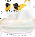 standing on bubble
