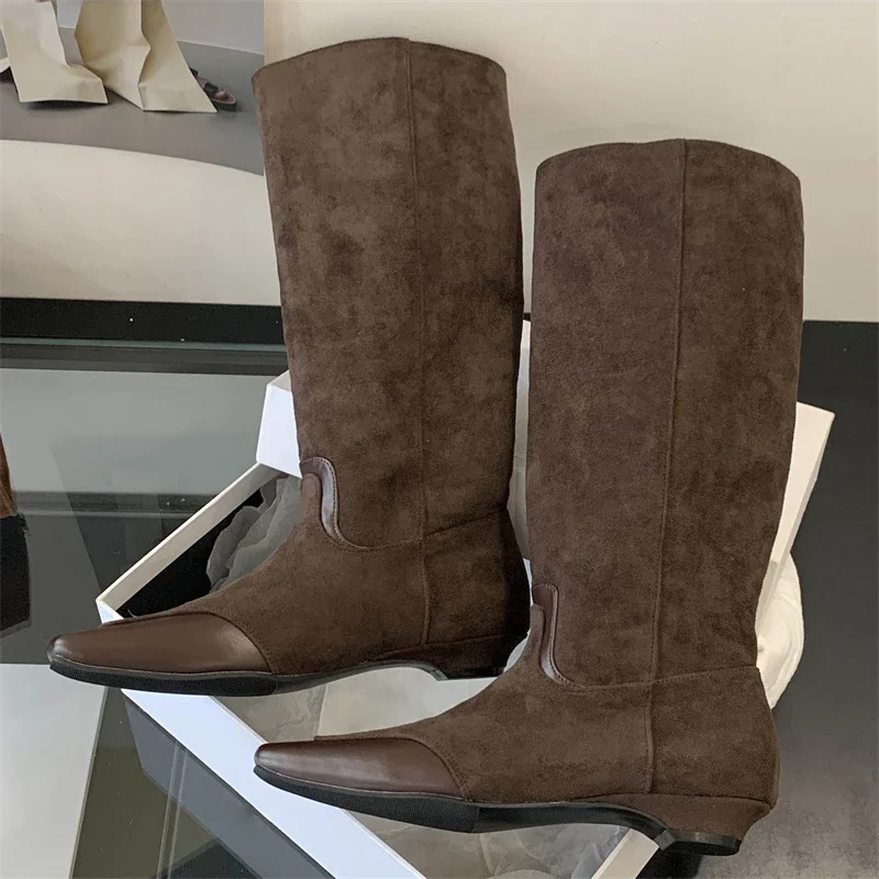 

Aneikeh 2026 Winter Low Heels Pointed Toe Women Knee-High Boots Concise Ladies Shoes Punk Style Modern Long Bota Feminina