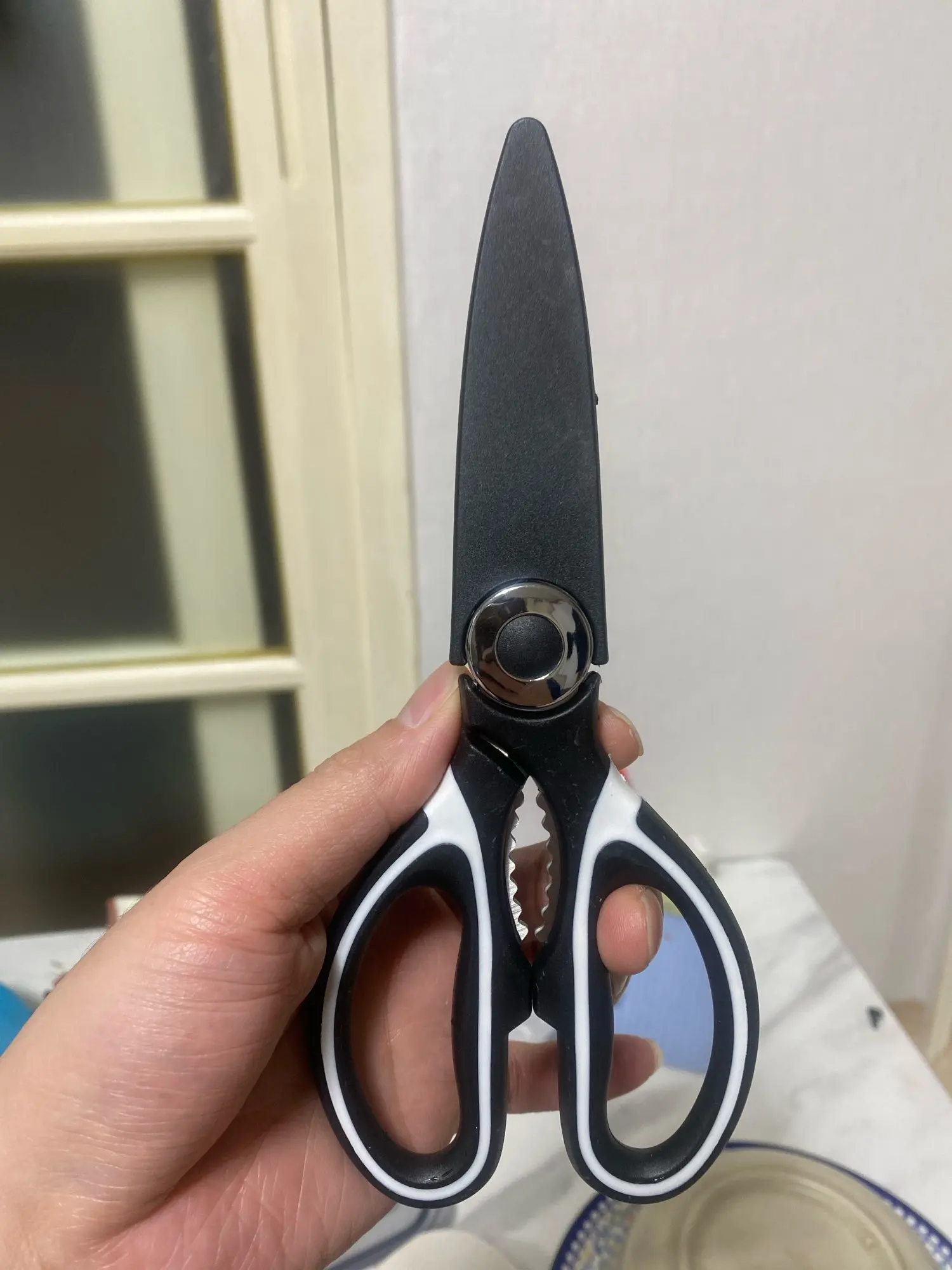 실물 포토 리뷰