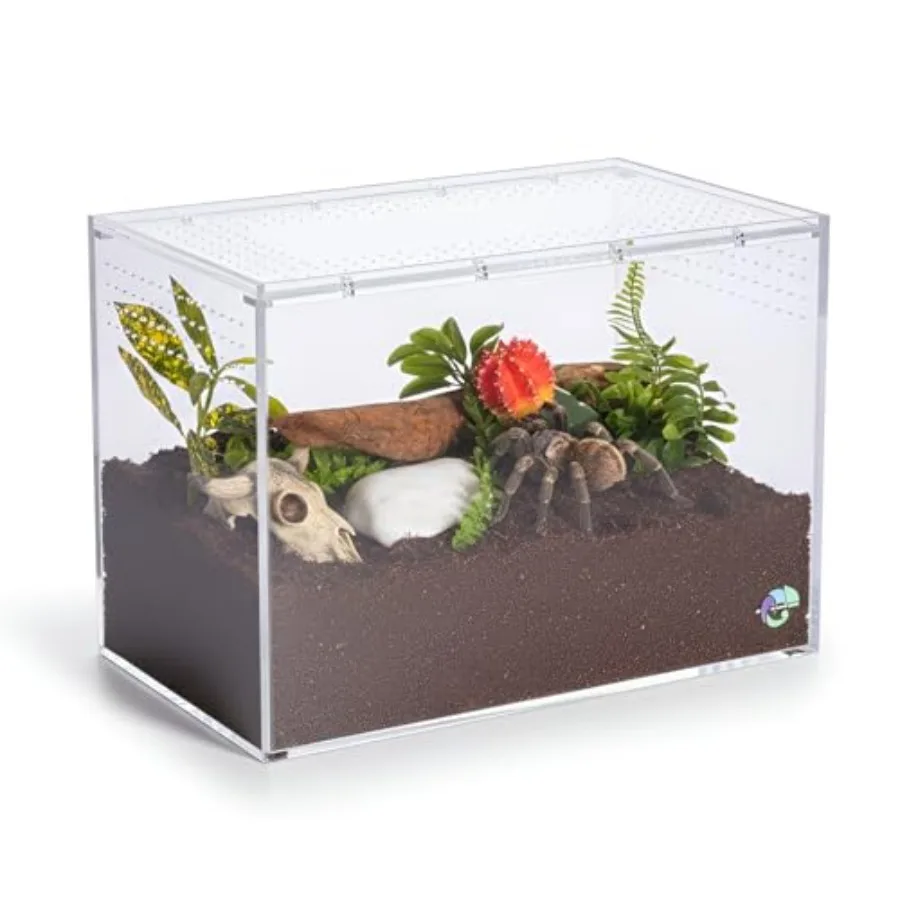 

Terrestrial Terrarium - Tarantula Enclosure for Spider Gecko Frog Snail and Reptiles - Acrylic Terrarium with Lid