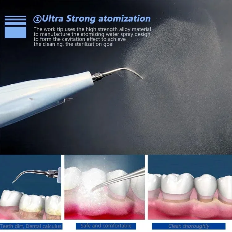 B5 Piezoelectrics  Ultrasonics Scaler Veterinary Unit Dentals Equipment Scaling Endo Machine