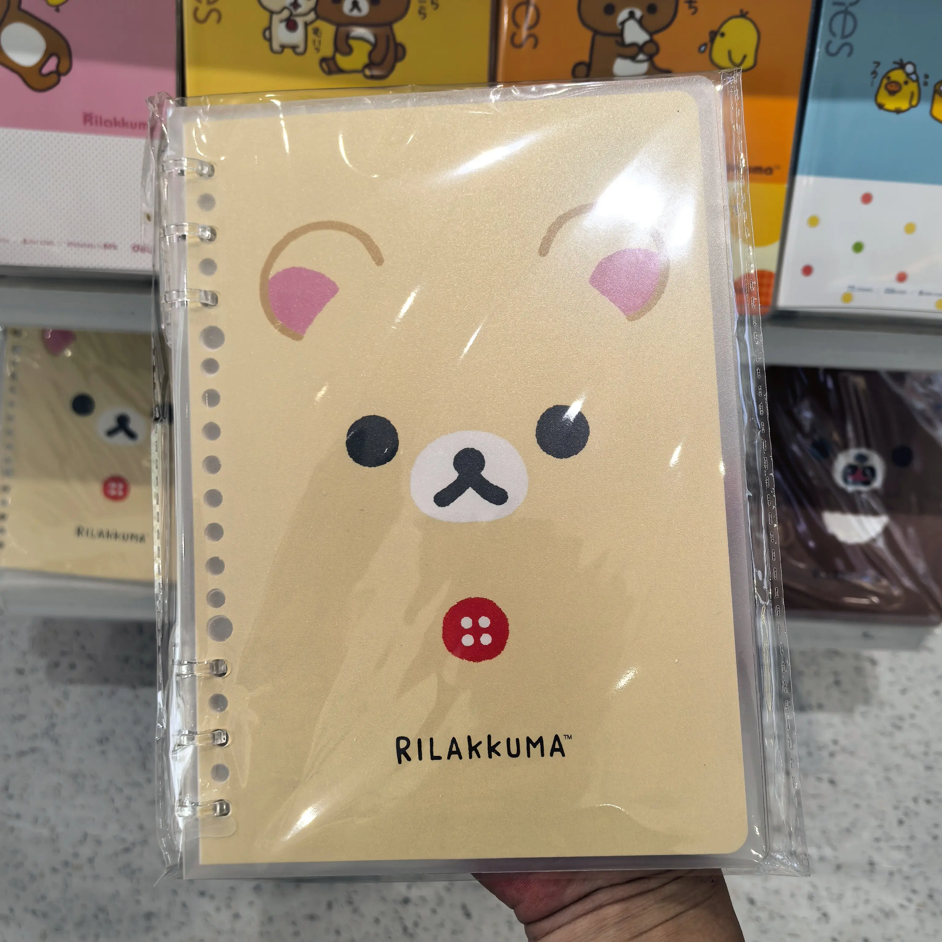 Notebook Rilakkuma Mini Plasti - огляд і ціна Blank Sheet Music Notebook