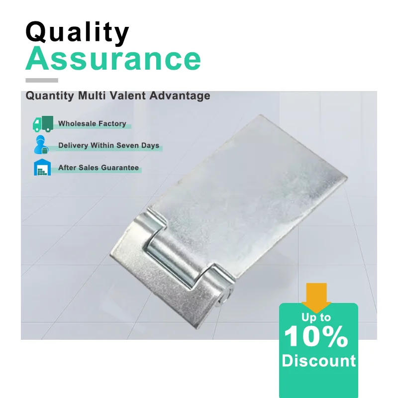 

Long Non Porous Welded Iron Hinge Heavy-Duty Transportation Equipment Industrial Machinery Ship Electrical Cabinet