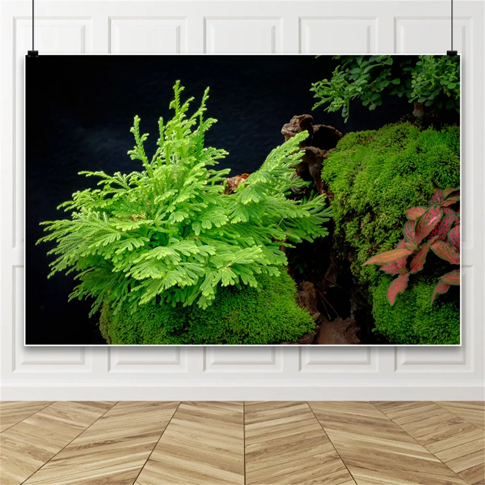 수중 잔디 사진 배경 인공 수족관 식물 장식 어항 수중 - Planted Aquarium Photos 리뷰 및 가격