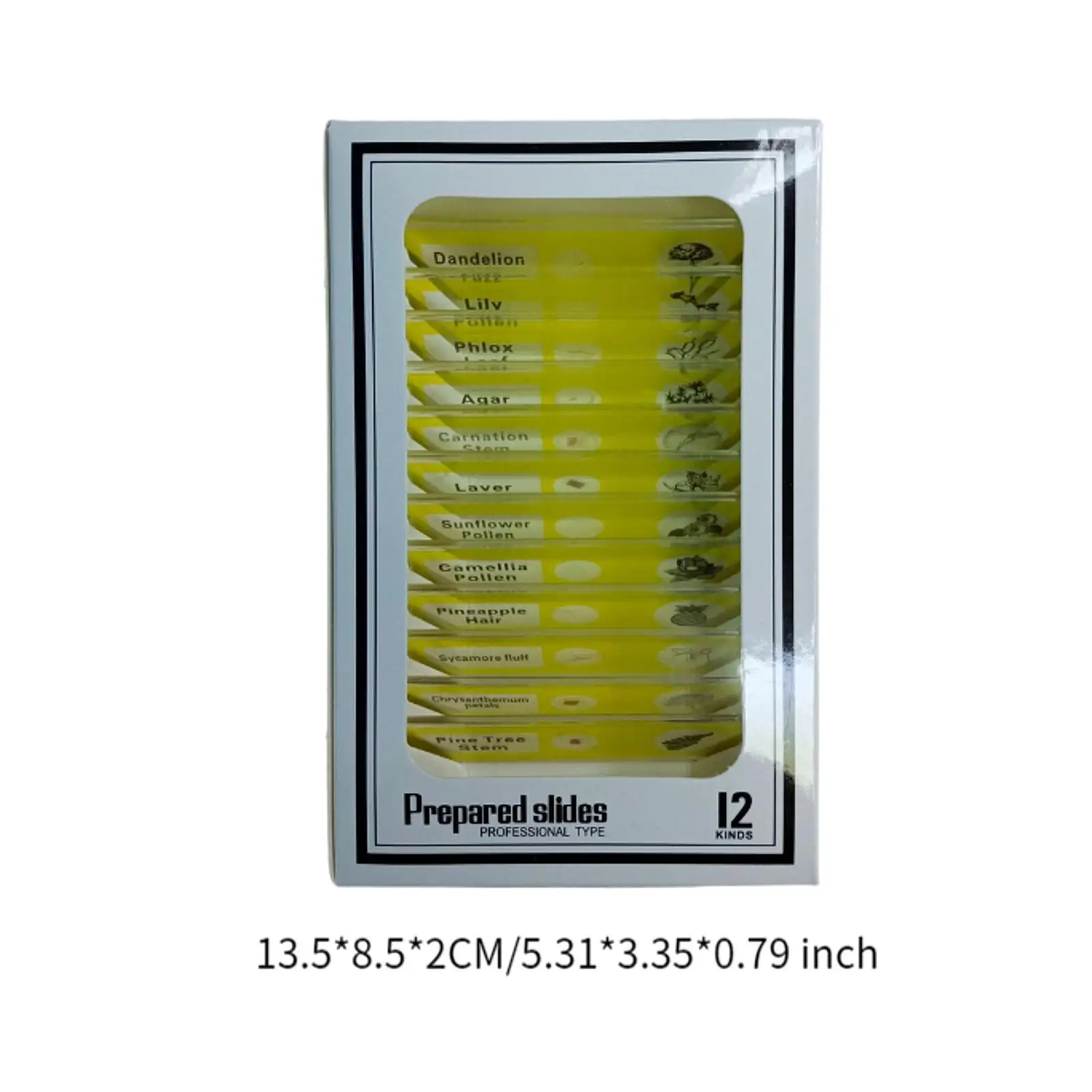 Kits científicos para crianças, lâminas de microbiologia preparadas, desenvolvimento de habilidades cognitivas, sala de aula, casa, aprendizagem precoce