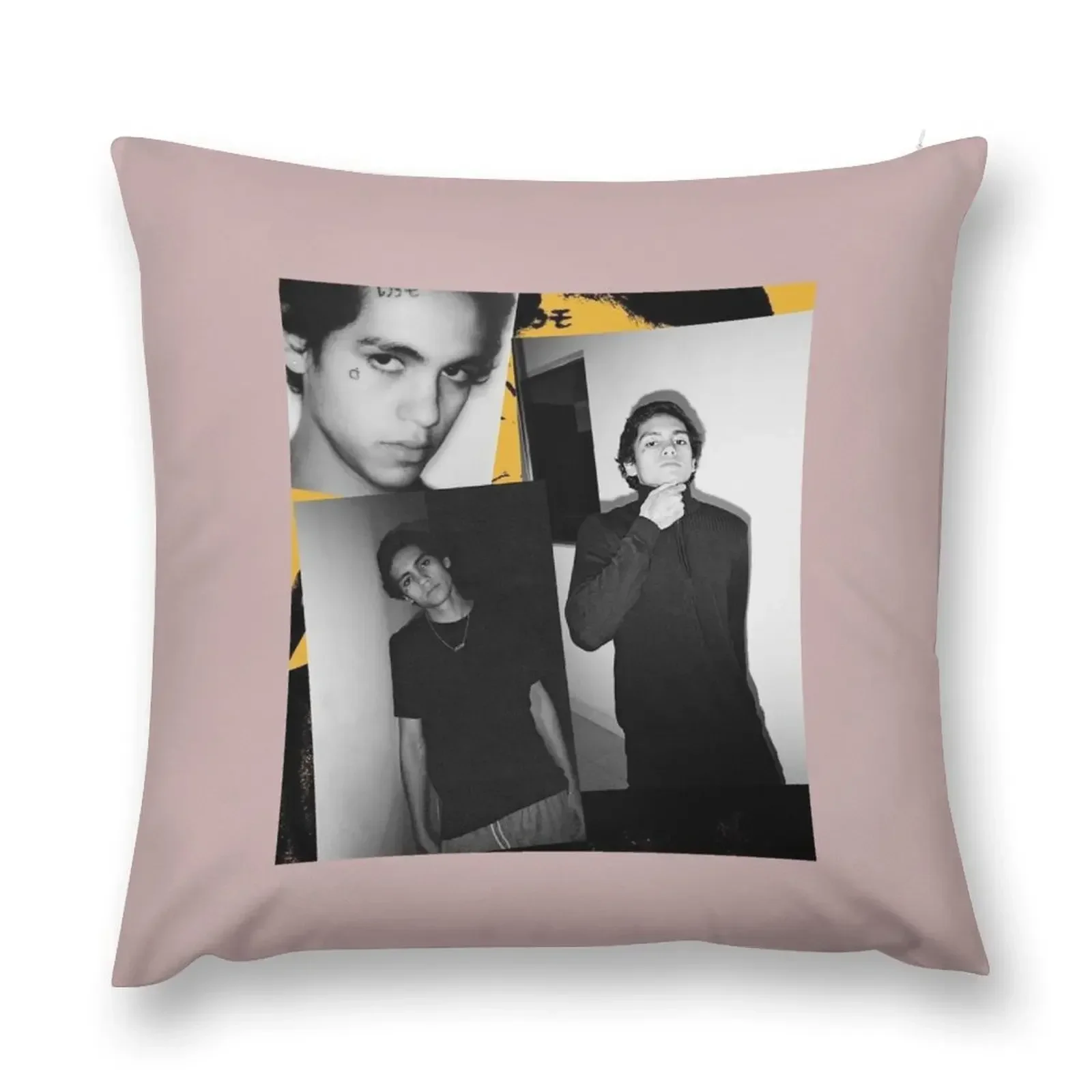

Dominic Fike B_amp_W Throw Pillow Pillow Cases Pillowcase pillow