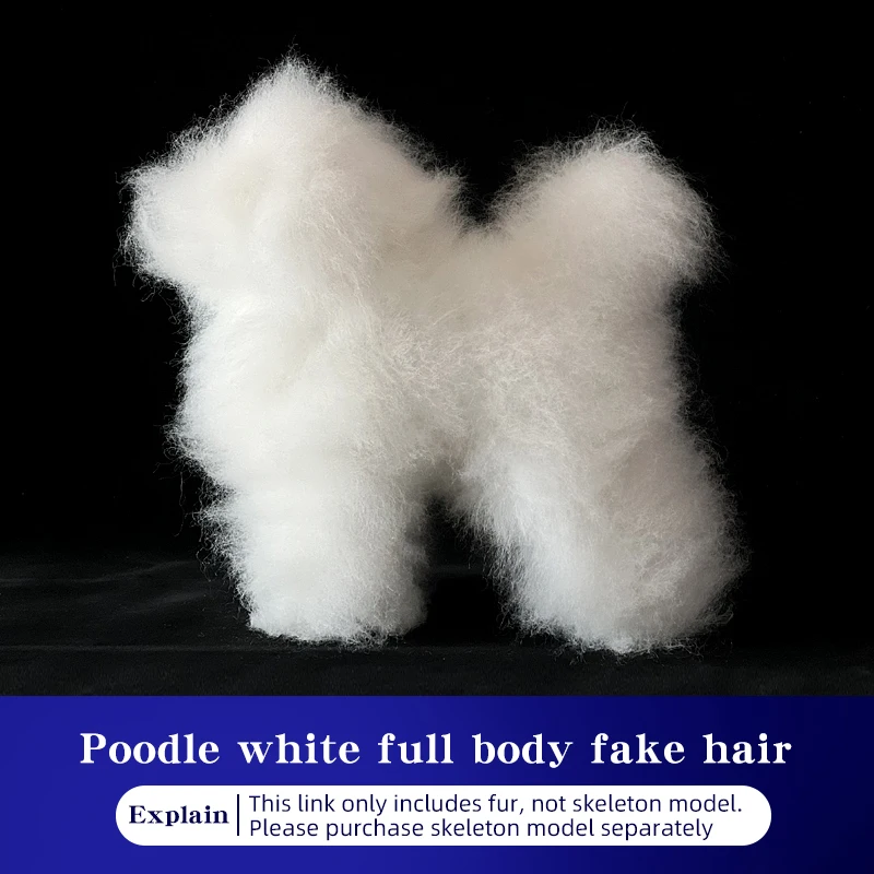 Pet Simulation Hair Beauty Fake Beautician Practicing Dog Standard Poodle Full Body Skeleton Model Dog for Pet Grooming image 3