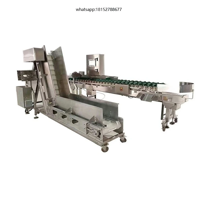 Stainless Steel Frame Checkweigher for Fruit & Vegetable Sorting Grading Machine Nuts Processing High Efficiency Eco-Friendly