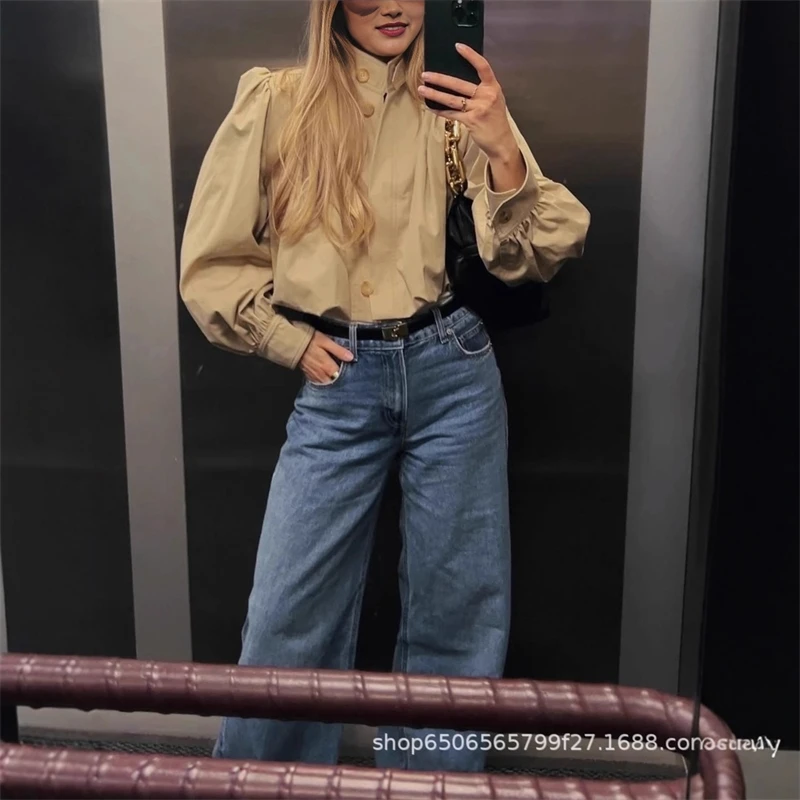 

Pleated Solid Ladies Coat Full Sleeve Single-Breasted Lapel Jacket Autumn Office Casual Elegant Cozy Streetwear For Women