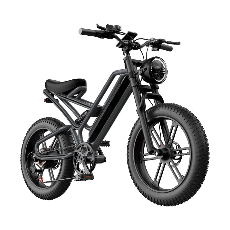 *for20-Inch 7-Speed Variable-Speed Mountain E-Fat Bike 48V Lithium Battery Pedal-Assist Aluminum Alloy Frame Front Suspension Du