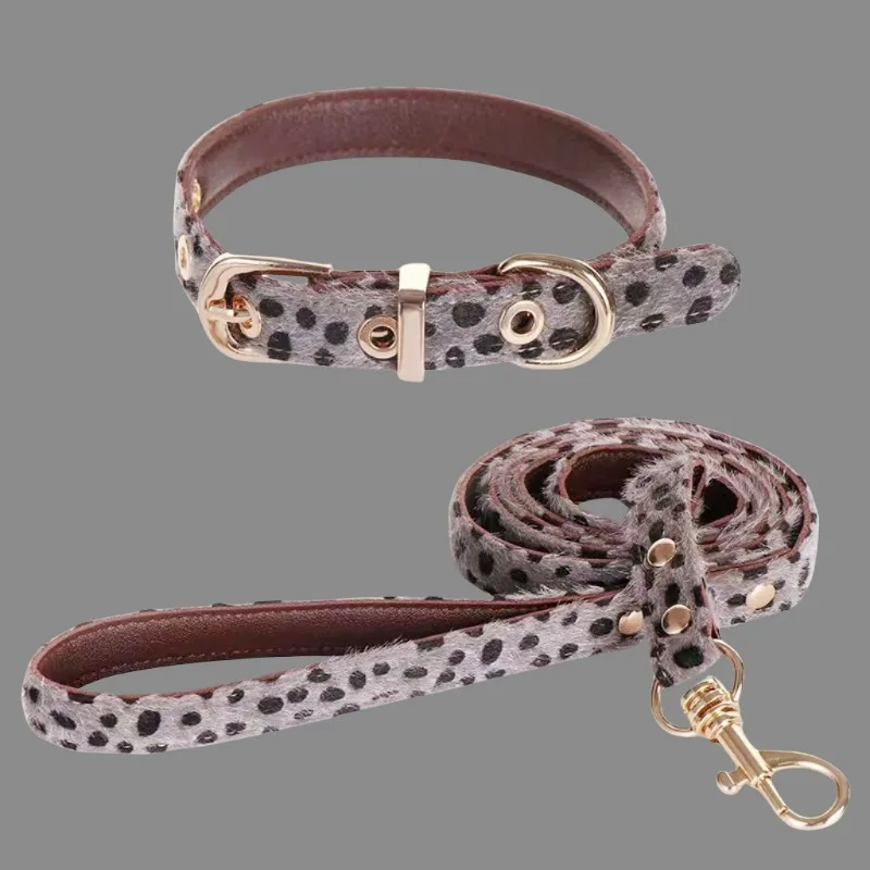 Thumbnail 3 - #59 Best Adjustable Pet Collars to Buy In 2026