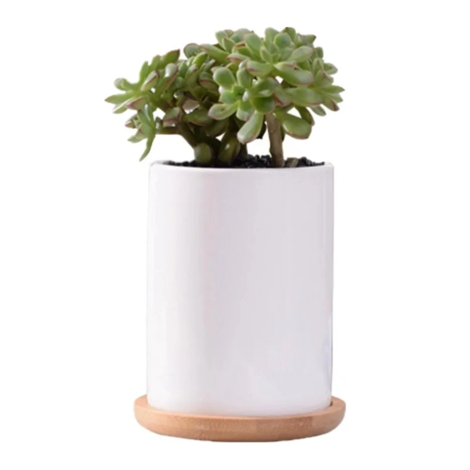 

Симпатичный белый керамический цветочный горшок в форме цилиндра с бамбуковым подносом, небольшой кашпо для суккулентов для искусственных цветов, искусственных цветов, Fa