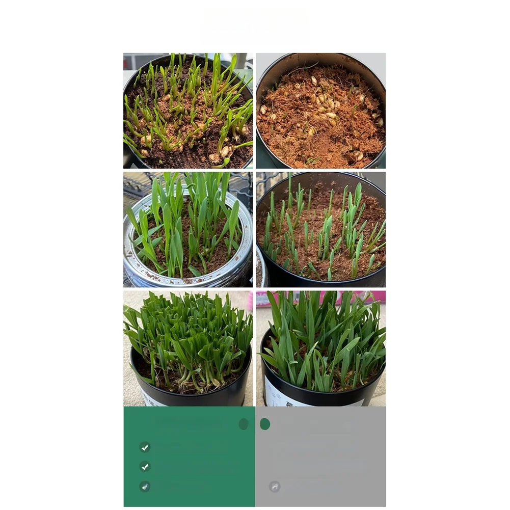 Coconut Coir Starter Medium for Horticulture Use with Natural pH Neutral Composition and Biodegradable Coconut Fiber Base