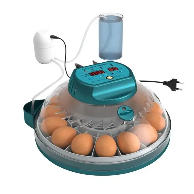 

Dual Power 15 Pcs Small Household Ranch Fully Automatic Intelligent Incubator Mini Egg Incubator
