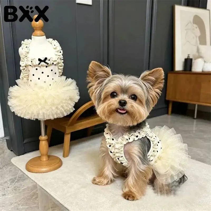 BXX Dog Vintage Dot Print Lace Ruffle Sling Mini Dress Fluffy Mesh Tutu Light Breathable Daily Walking Outfit