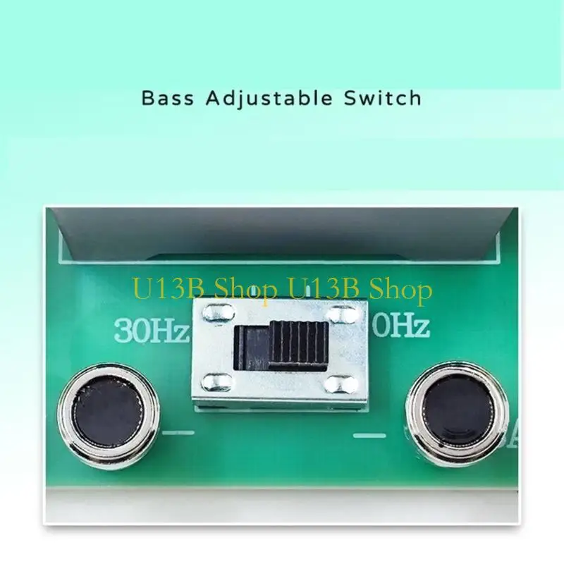 

U13B 1000/2500 Вт латунный динамик сабвуфера HIFI динамик делитель частоты Hi-Fi стерео