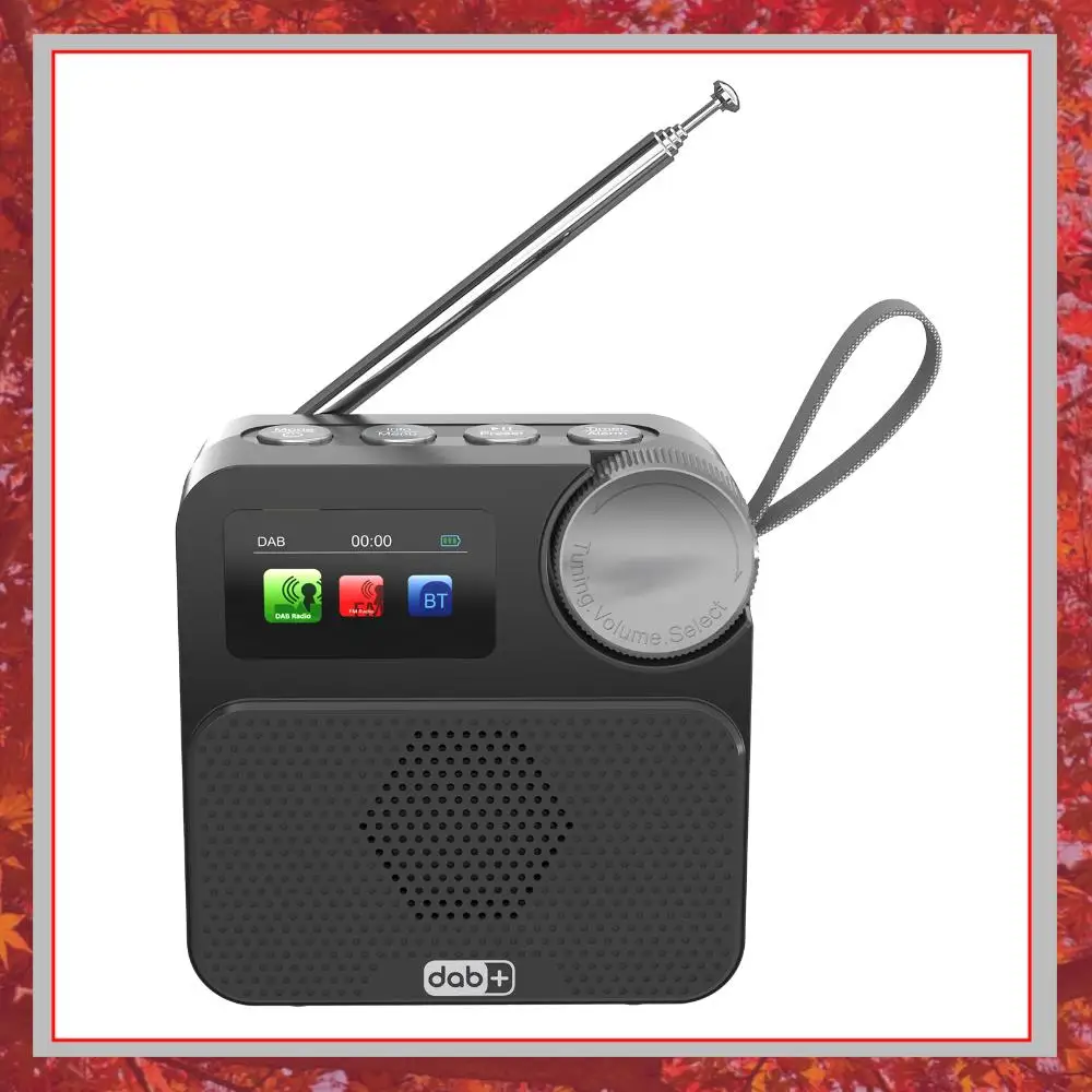 

Высококачественное интернет-радио FM/DAB/DAB+ с Bluetooth, перезаряжаемое, беспроводной Bluetooth-динамик, внешняя антенна