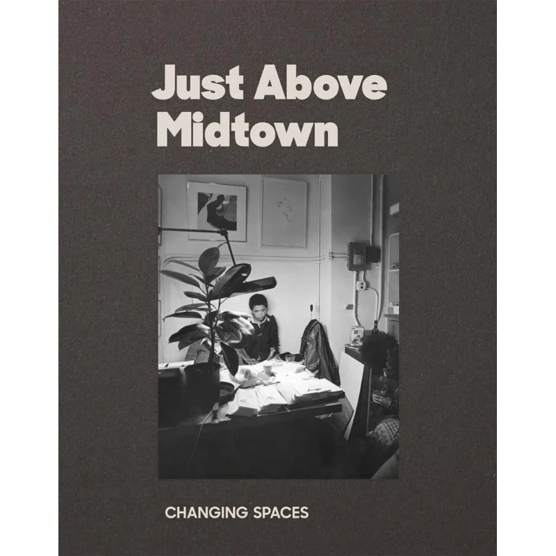Just Above Midtown 1974 To The Present Thomas J Lax And Lilia Rocio Taboada The Museum Of Modern Art New York 9781633451377 Book