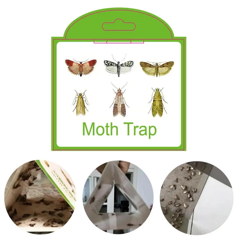 1pc Pantry Clothes Moth Trap Pheromone Moth Traps Fly Control Moth Garden Kitchen Sticky Pest Food Home Traps Dropshipping F7G9