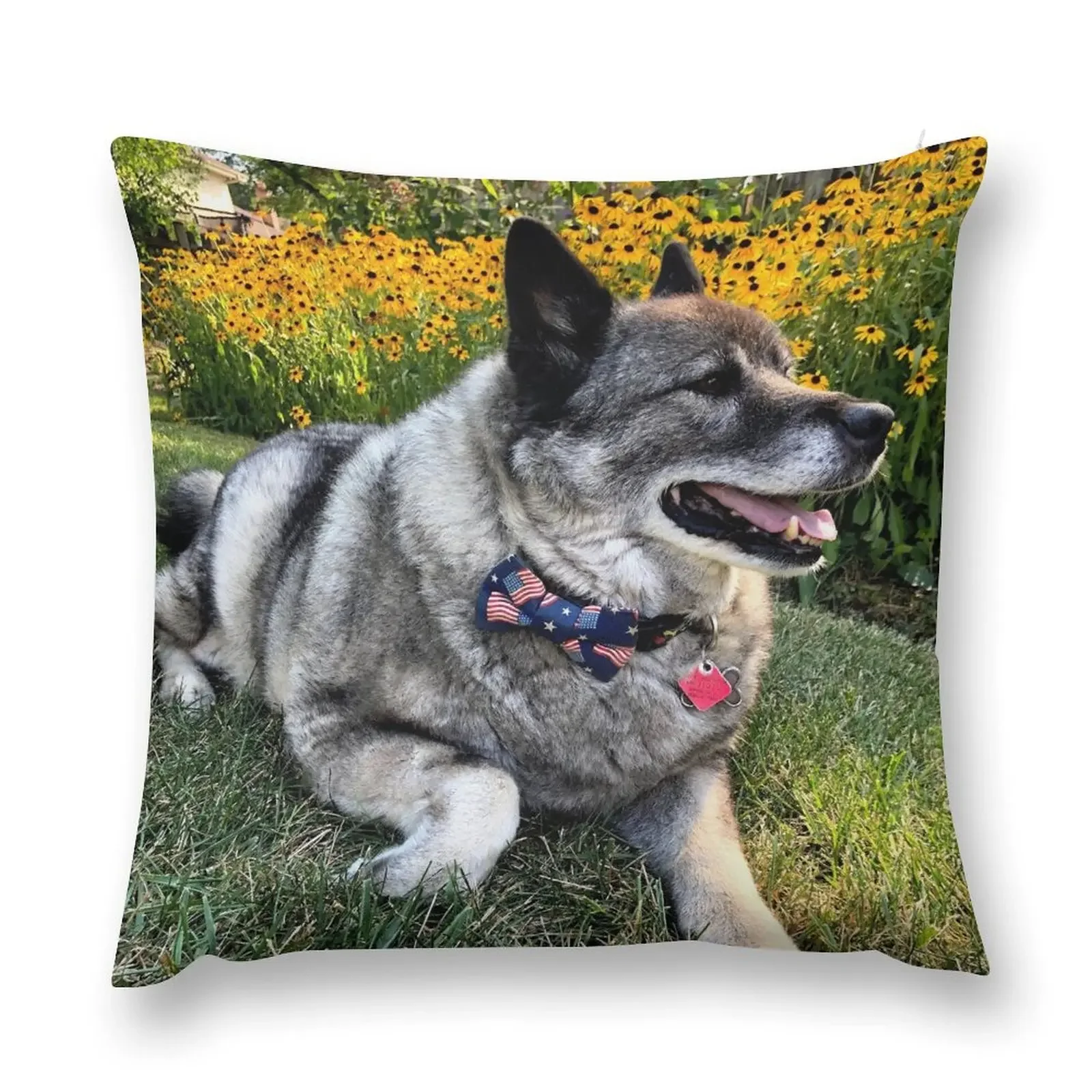 Norwegian Elkhound with Black-Eyed Susans Throw Pillow Christmas Pillows Pillowcases pillow