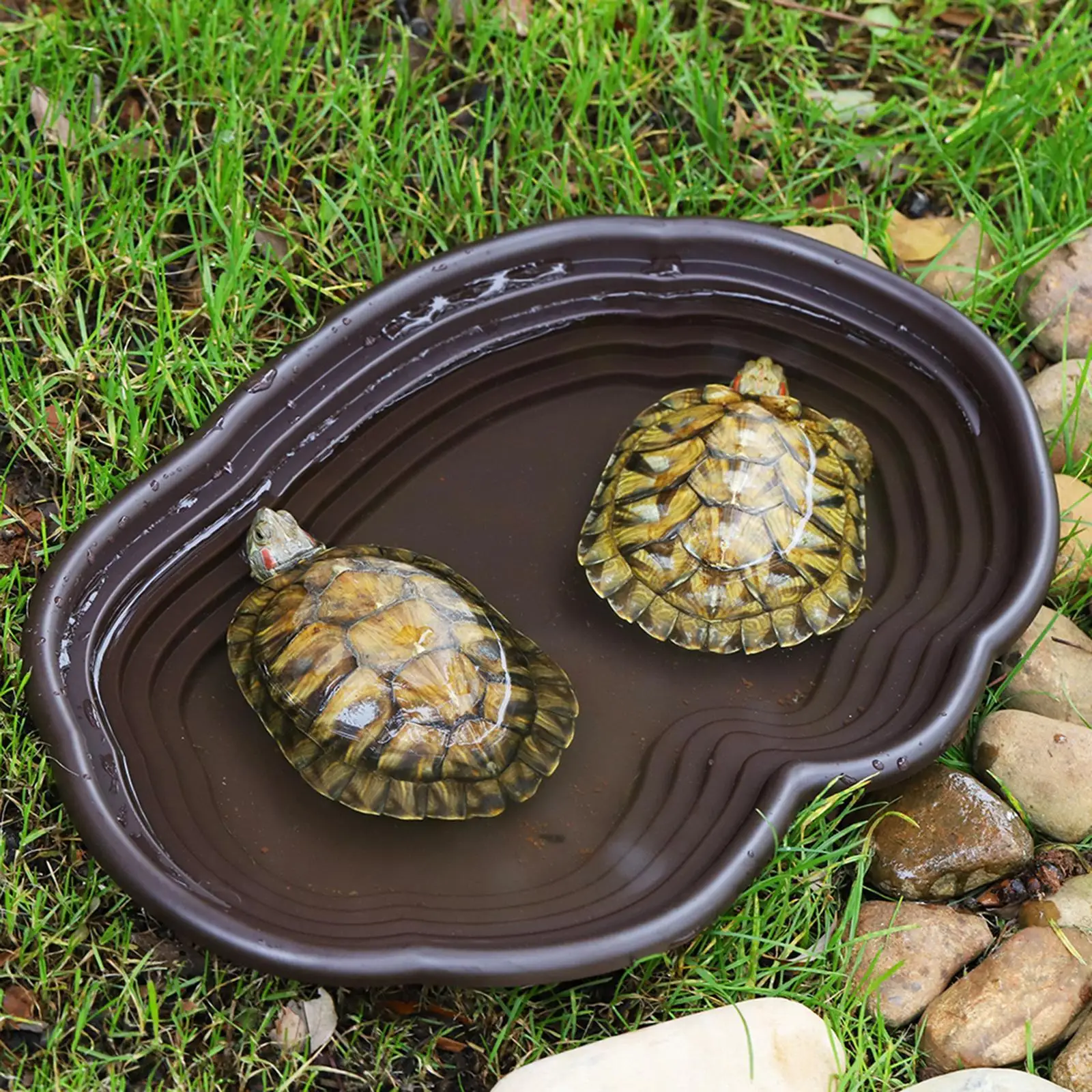 Thumbnail 3 - #32 Reptile Water Bowls Comparison Guide