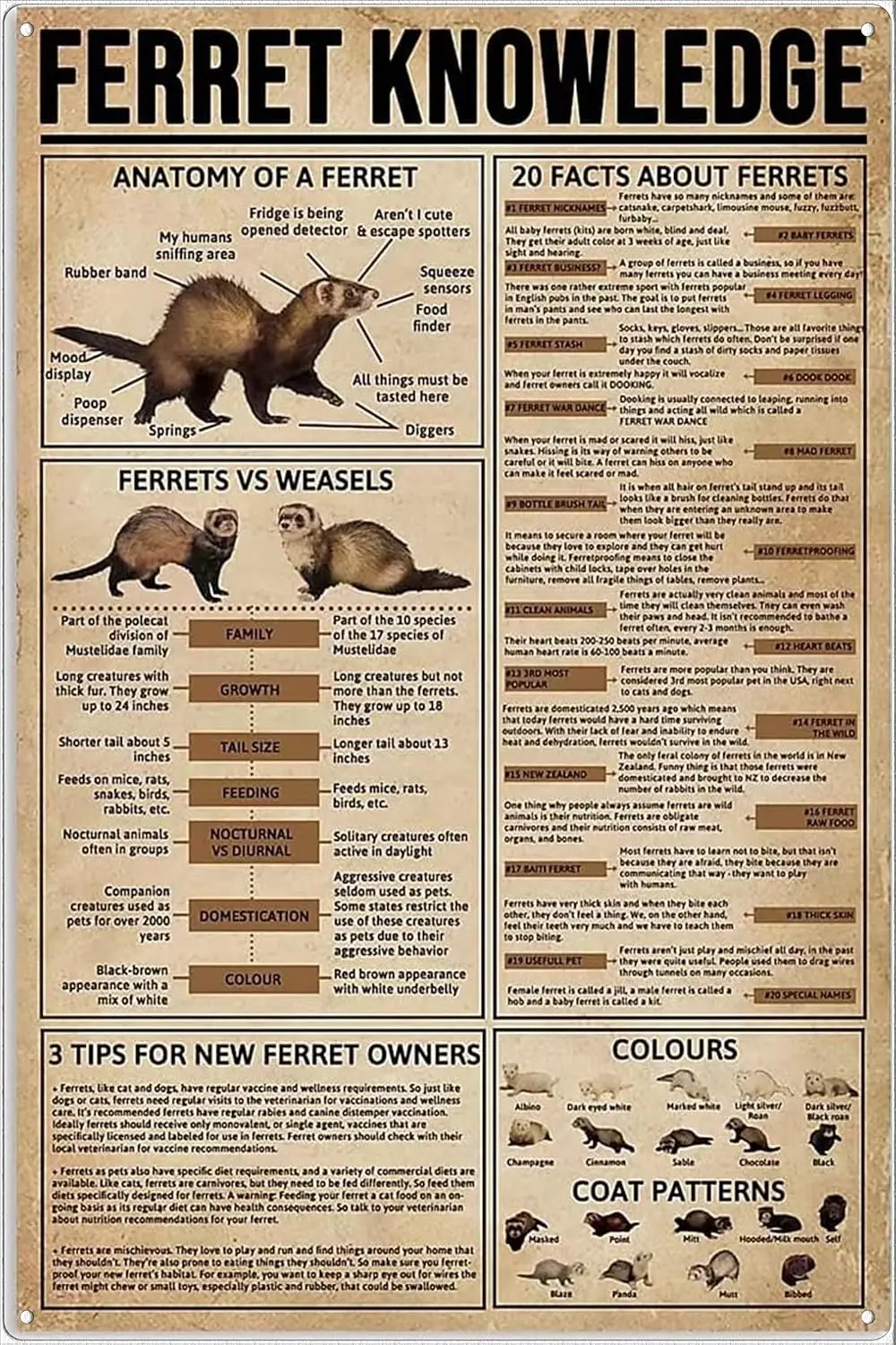 Panneaux métalliques vintage, affiches éducatives sur les furets, panneaux en étain, décoration murale, pour bar, club de chats, articles fantaisie, salle de bain, cuisine, panneau R pour papier toilette