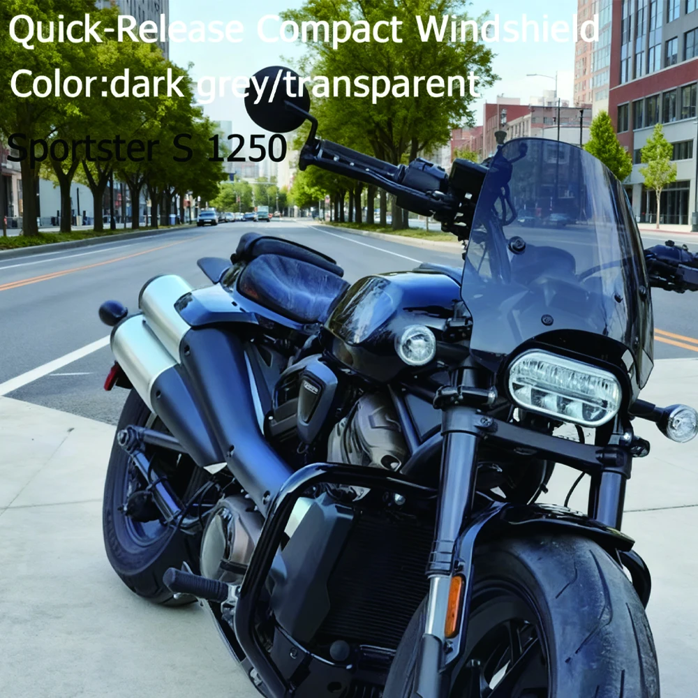 For Sportster S 125…