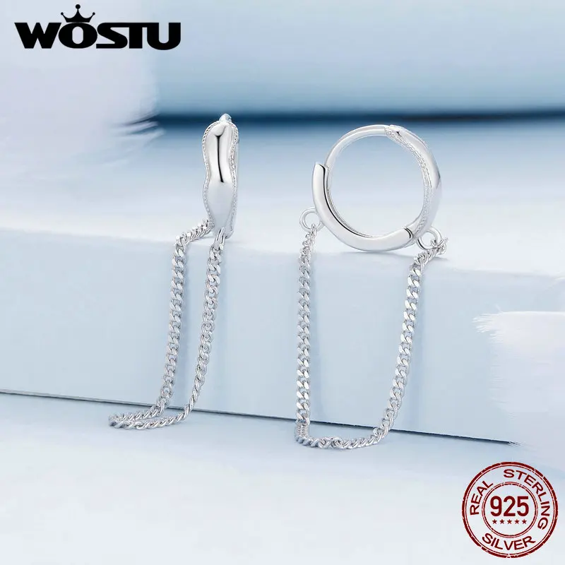 WOSTU 925 Sterling Silver Tassel Earrings with Zircon for Women Outfit Fashion Classic Gift Wedding Party Fine Jewelry 9.5mm