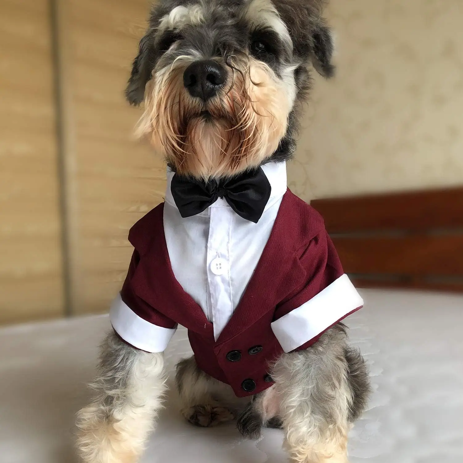 Formal Tuxedo Suit with Black Bow Tie for Dogs, Pet Costume, Wedding Clothes, Large, Medium, Small Dogs, Cat