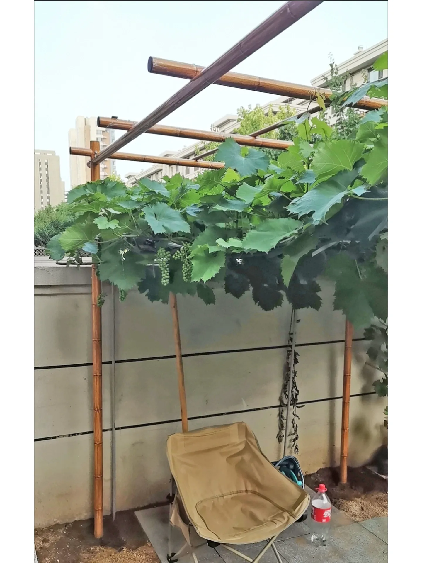 LMM durable anti-corrosion aluminum outdoor courtyard garden rural courtyard climbing planting special