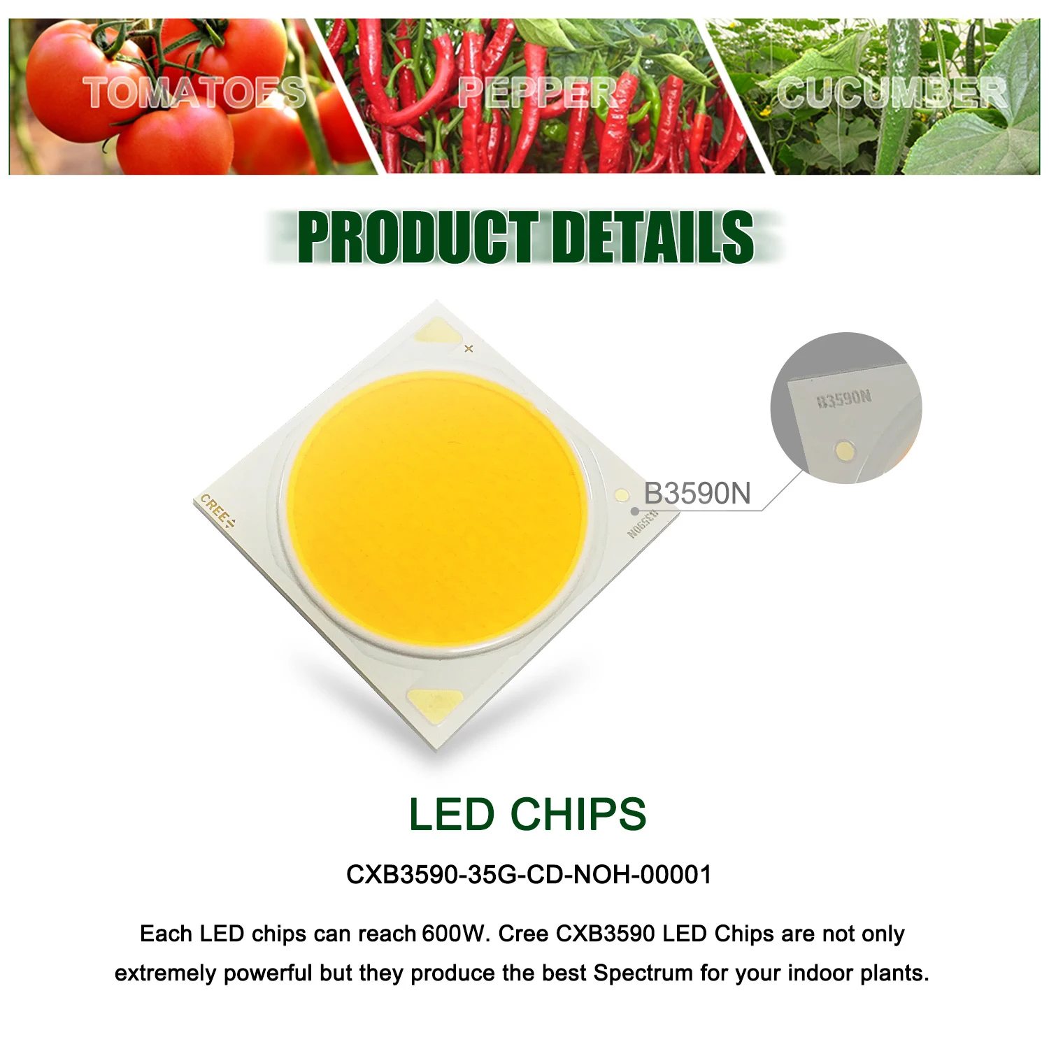 CFGROW Dimmable Full Spectrum CXB3590 600W Growing Lamp COB LED Grow Light for Indoor Plant Growth Panel Lighting