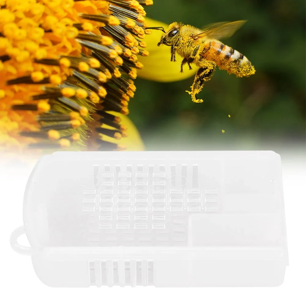 

5Pcs Transparent Plastic Queen Bee Cage Beekeeping Tool Equipment Accessories