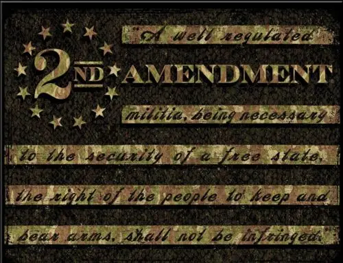 2nd Amendment Firearms America Eagle Camo Gun Ammo Wall Décor Metal Tin Sign New